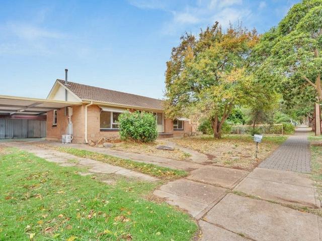 3 Horton Street, SA 5113