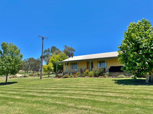 11 Phillips Street Bendick Murrell Via, NSW 2594