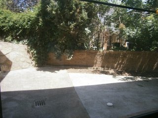 Frontyard
