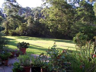 Garden (2006-12-19)