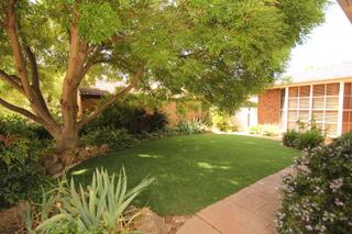 Frontyard (2011-11-21)