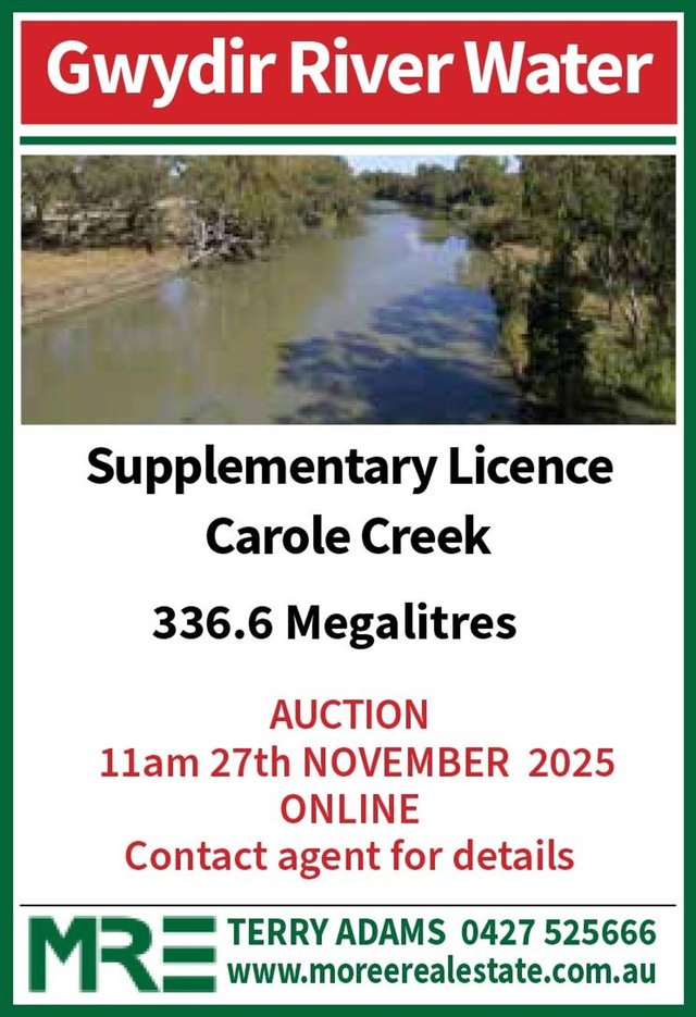 Gwydir Supplementary Licence, NSW 2400