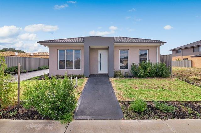 10 Godfrey Avenue, VIC 3977