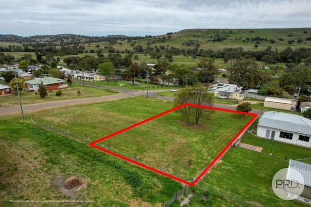 44 Learmonth Street, NSW 2339