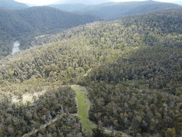 93 Lower Tablelands Road, VIC 3900