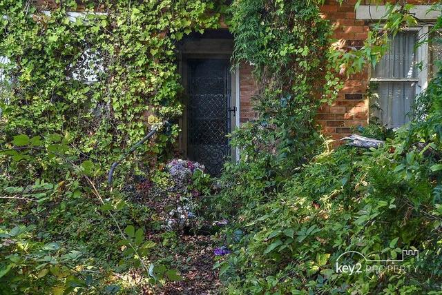 66 Guy Street, TAS 7249