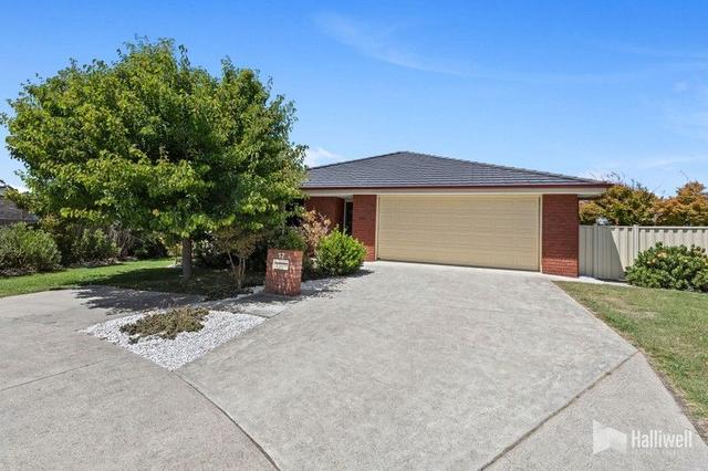 17 Breteeca Close, TAS 7307