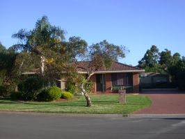 Front view