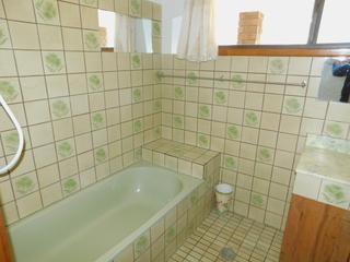 Bathroom (2017-08-17)