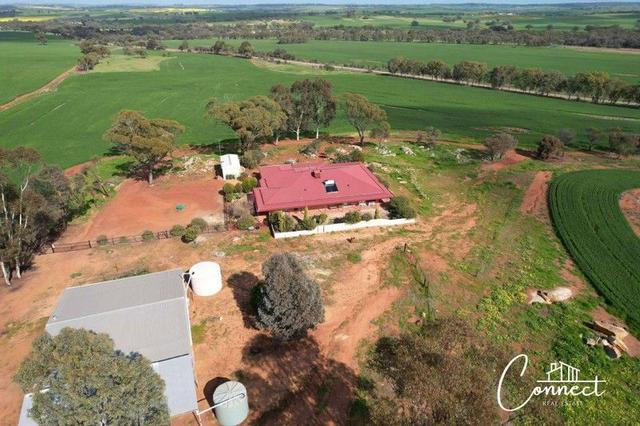 Haddrill Road, WA 6401