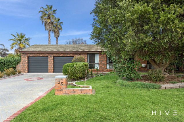 36 Preddey Way, ACT 2906