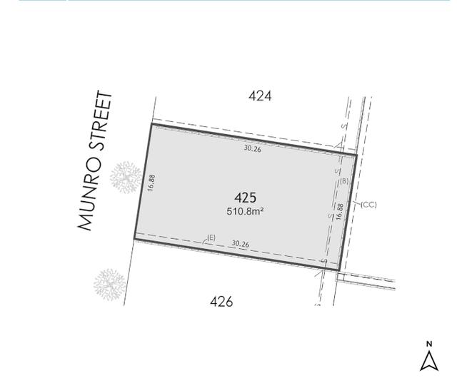 Lot 425 Munro Street, NSW 2322