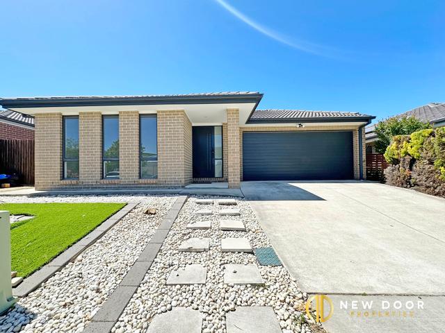 12 Muriel Stewart Circuit, ACT 2914