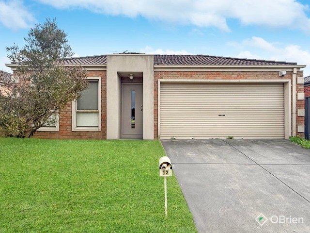 12 Elderberry Way, VIC 3810