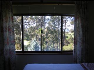 View From Master Bedroom (2014-06-11)