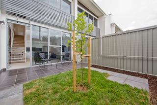 Courtyard (2013-02-14)