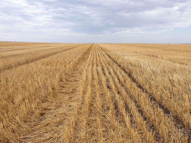 898 Sheoak Road, SA 5580