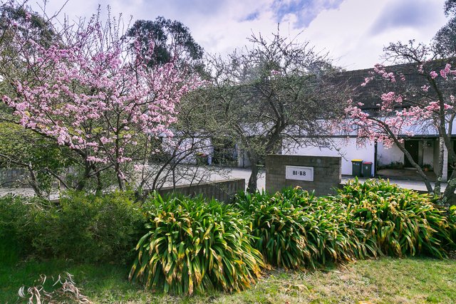B3/1 Davies Place, ACT 2607