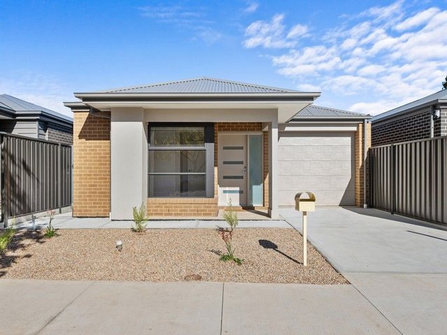 64 Webb Street, SA 5014