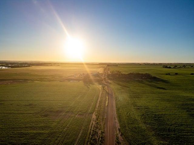 6069 Kulin-Lake Grace Road, WA 6353