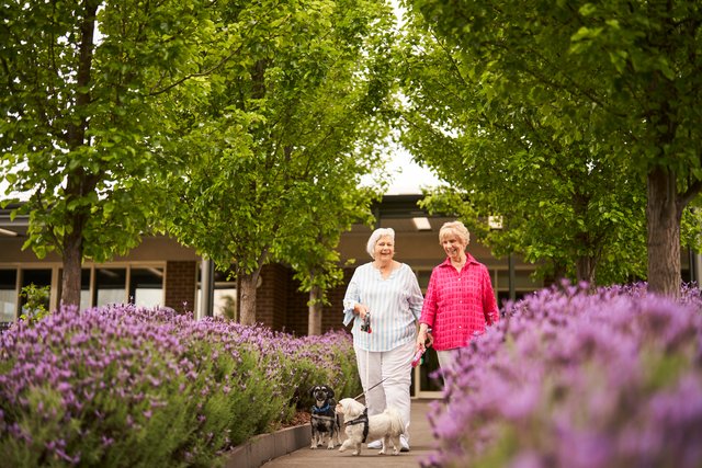 Isabella Gardens - Isabella Gardens, ACT 2905