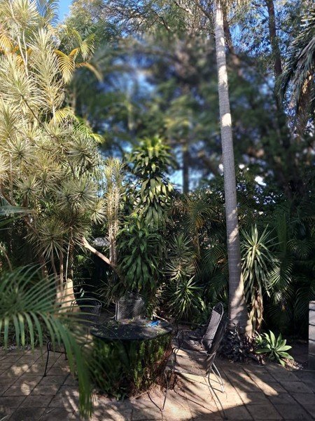 (no street name provided), NSW 2205
