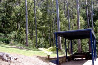 Standard Photo (2014-07-23)