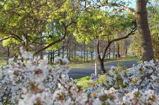Lake View (2014-10-16)