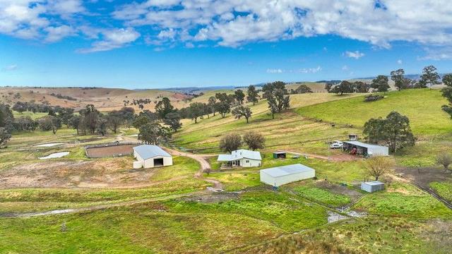 496 Tia Diggings Road, NSW 2354