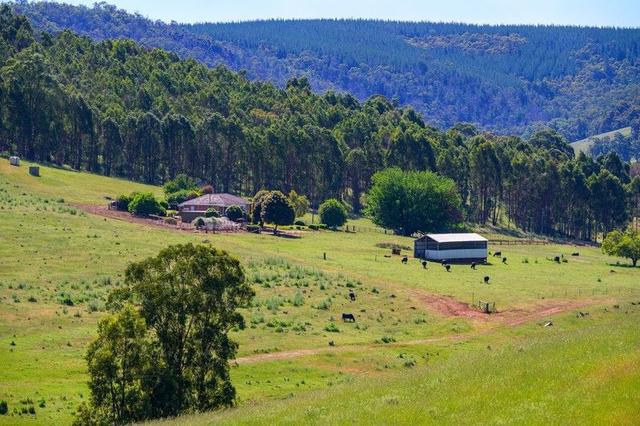 305 & Lot 8138 Balingup-Nannup Road, WA 6253