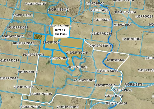 1185 Golspie Road, NSW 2580