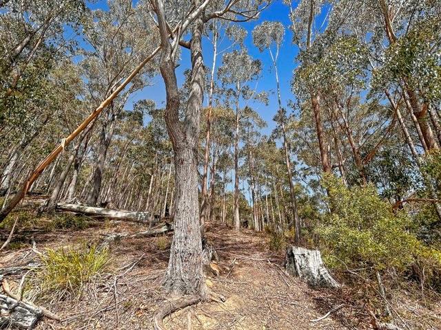 Lot 2 Nicklasons Road, TAS 7216