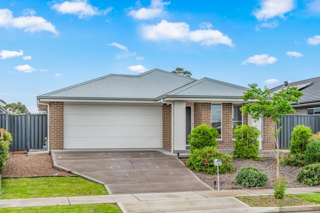 19 Springfield Drive, NSW 2321