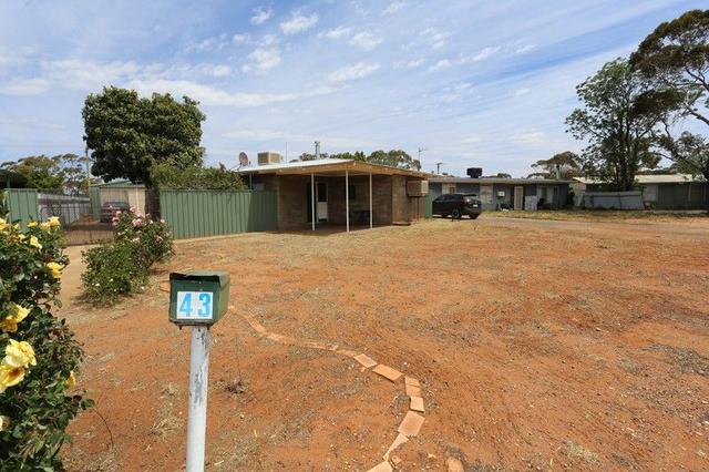 43 Saltbush Rd, WA 6442