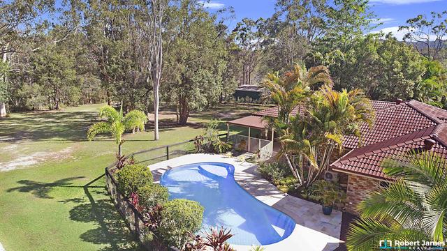 53 Coolah Place, QLD 4565