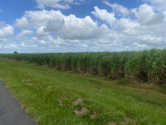 249 Hills Road, QLD 4670