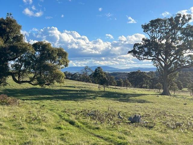 Lancefield-Pyalong Road, VIC 3435