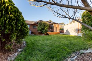 Garden (2016-11-23)