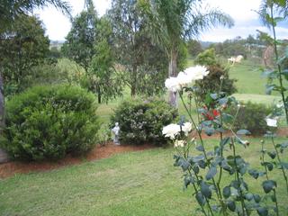 Garden (2007-03-30)