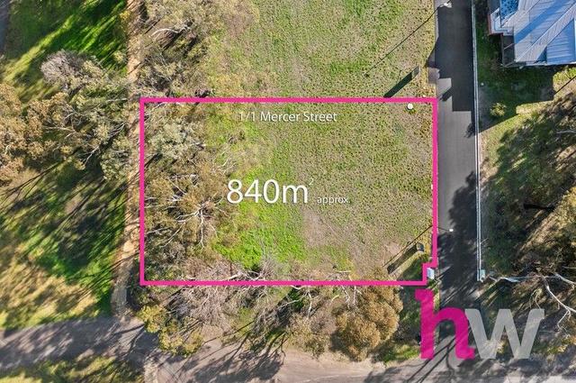 1/1 Mercer Street, VIC 3241