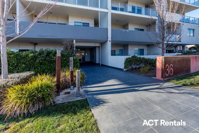 270/36 Philip Hodgins Street, ACT 2611