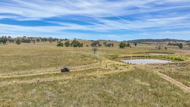 2182 Yarramanbully Road, NSW 2340