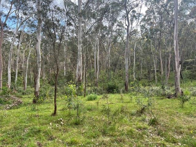 Lot 79 Littlewood Road, NSW 2335