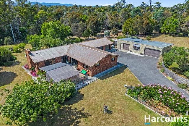 23 Edward Street, TAS 7307