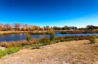 Wetlands (2013-04-29)