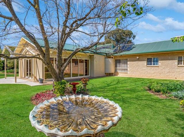 229 Camp Road, NSW 2794