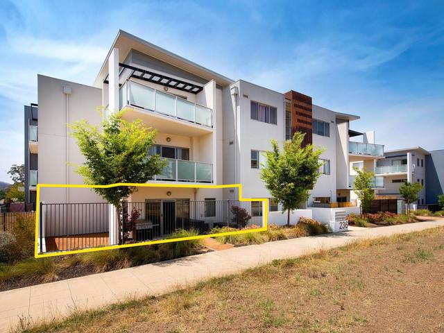 38/236 Flemington Road, ACT 2914