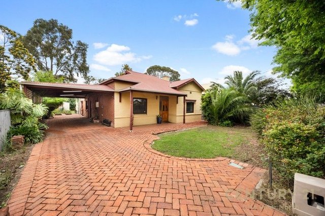 82 Alexandra Street, SA 5082