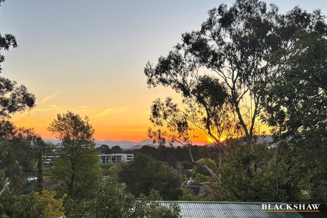 5 Patey Street, ACT 2612