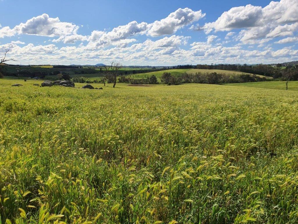 27 Kenilworth Lane, Yass NSW 2582 Allhomes